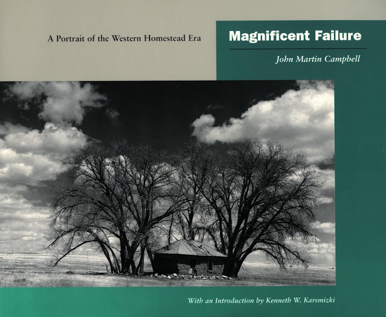 Book cover image for Magnificent Failure ISBN: 9780804738873