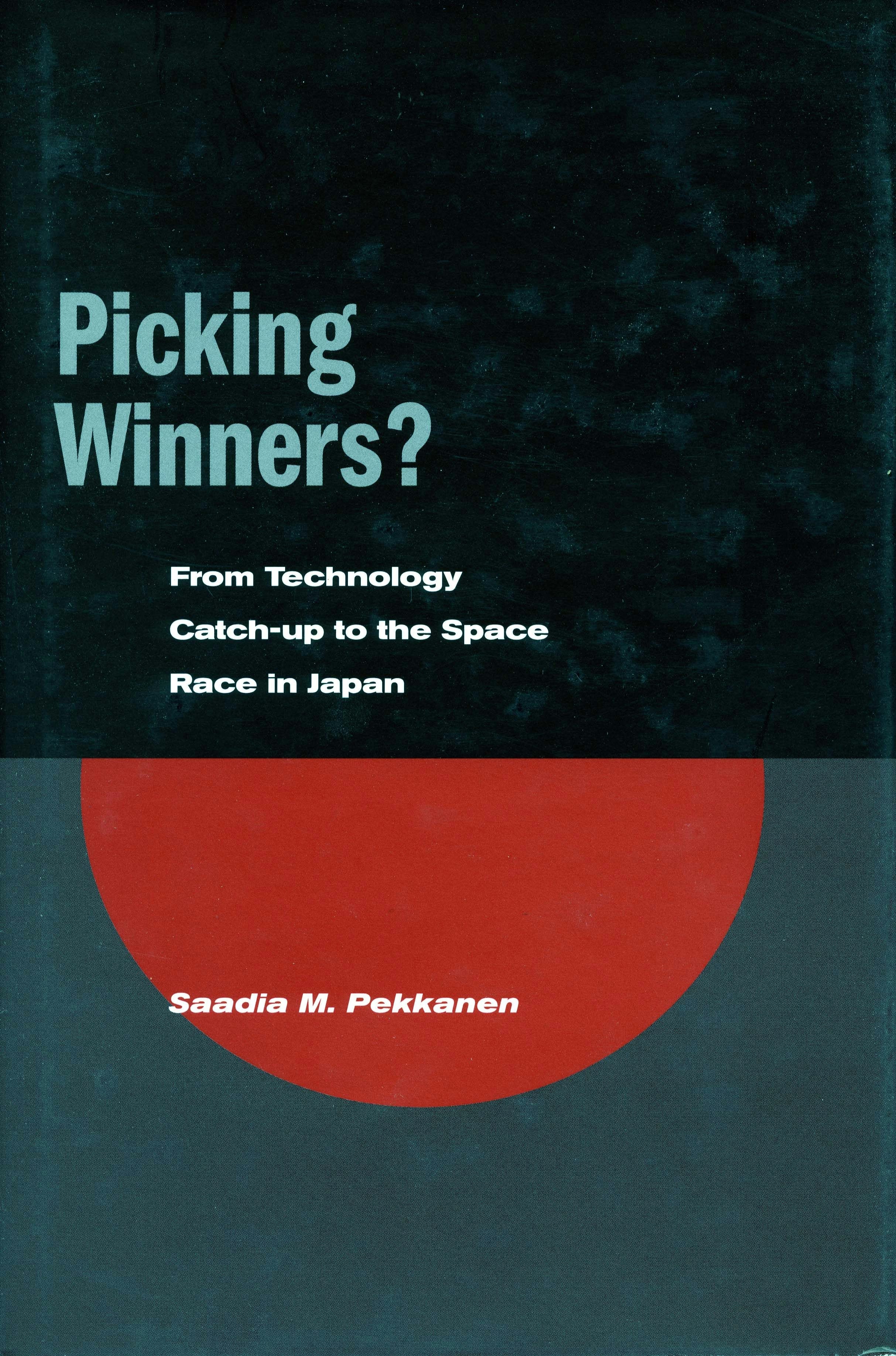 Book cover image for Picking Winners? ISBN: 9780804747325