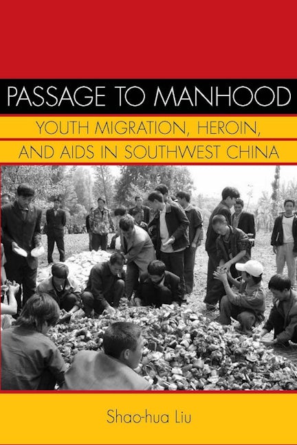 Book cover image for Passage to Manhood ISBN: 9780804770255