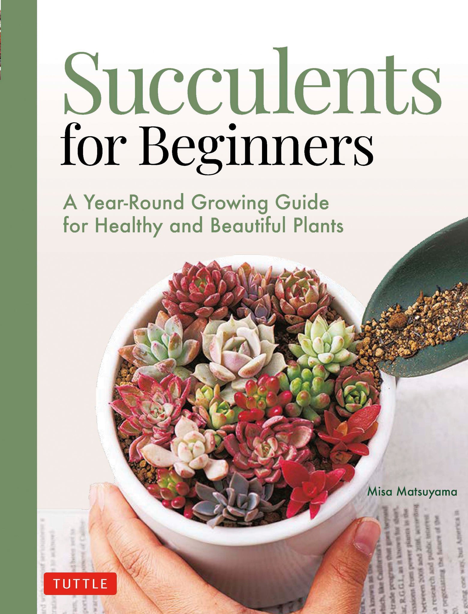 Cover image for Succulents for Beginners ISBN 9780804854603