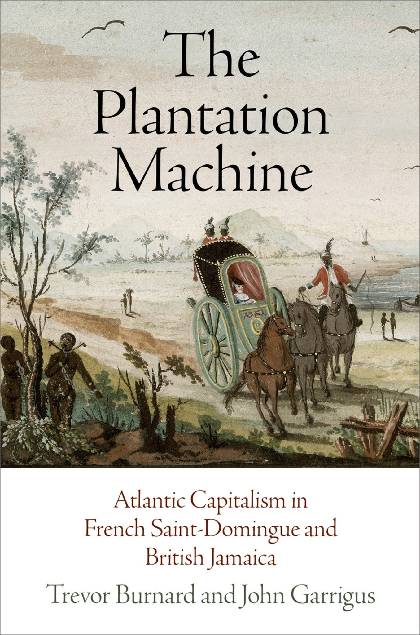 Cover image for The Plantation Machine ISBN 9780812224238