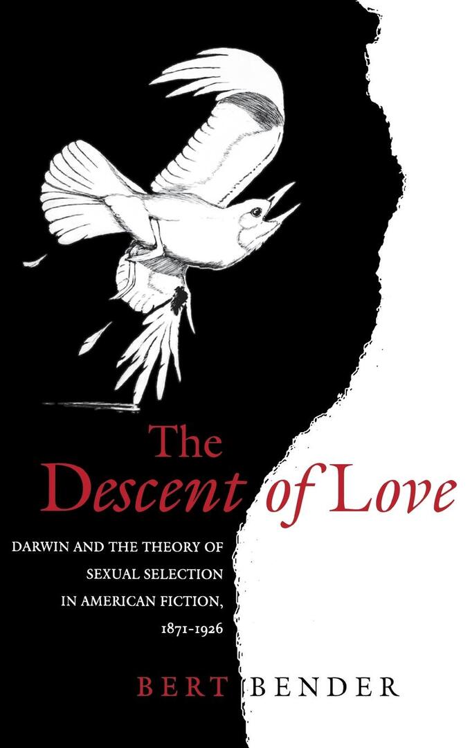 Cover image for The Descent of Love ISBN 9780812233445