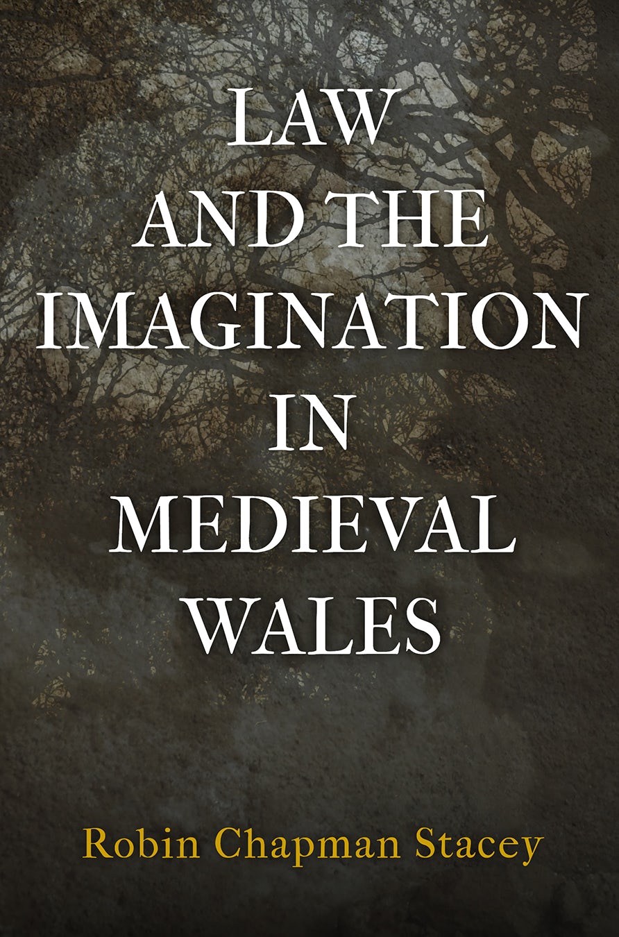 Book cover image for Law and the Imagination in Medieval Wales ISBN: 9780812295429