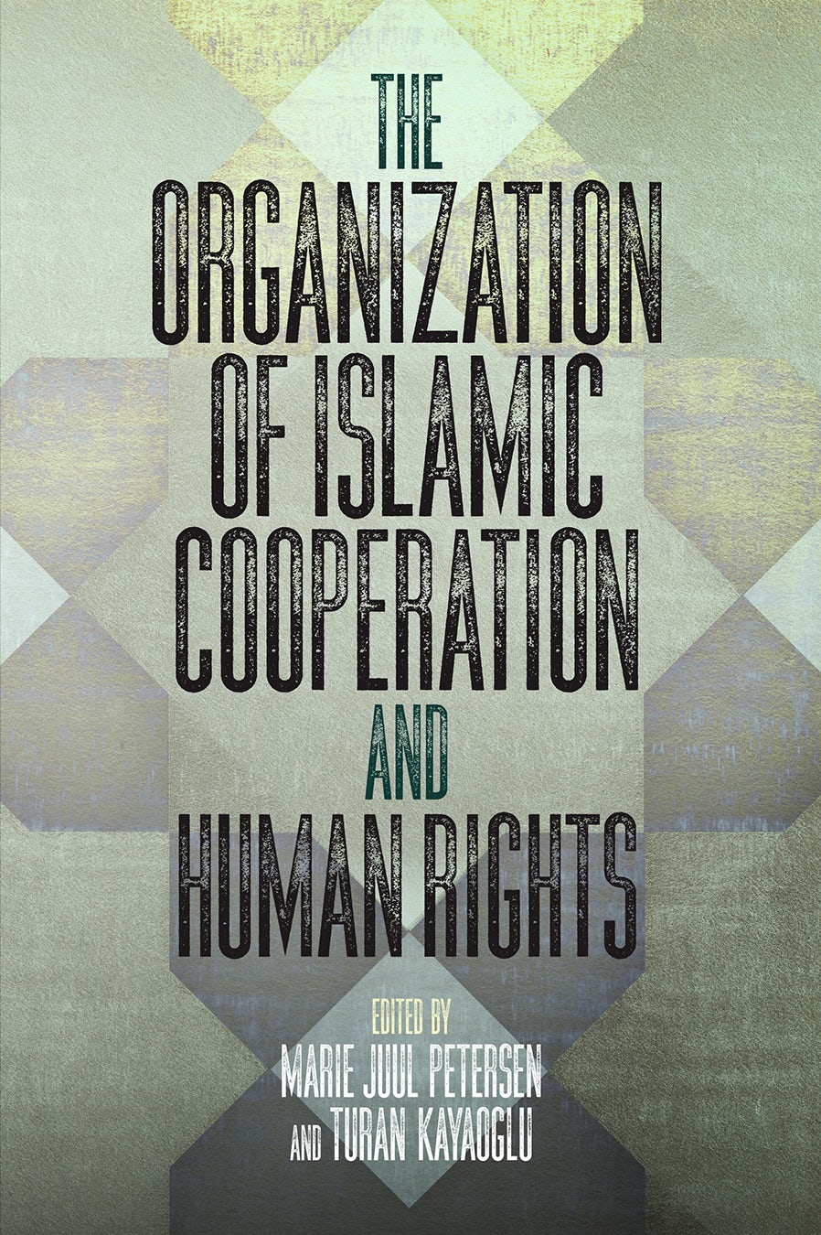 Book cover image for The Organization of Islamic Cooperation and Human Rights ISBN: 9780812295948
