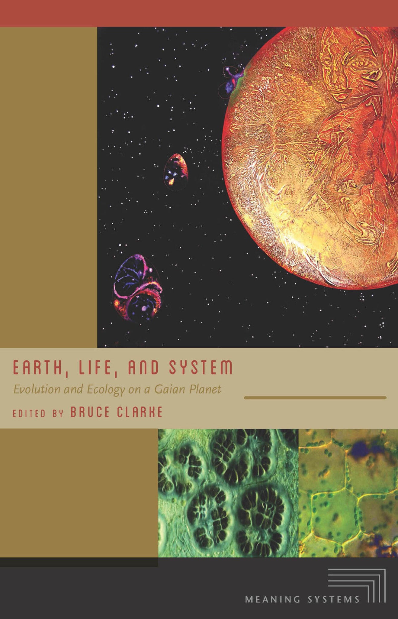 Cover image for Earth, Life, and System ISBN 9780823265251