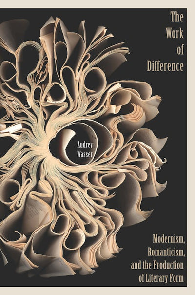 Cover image for The Work of Difference, isbn: 9780823270057