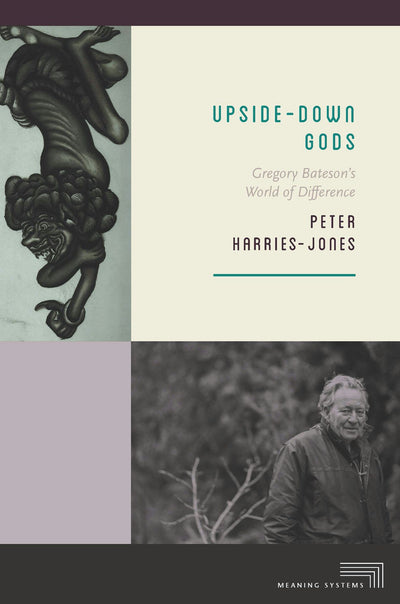 Cover image for Upside-Down Gods, isbn: 9780823270354