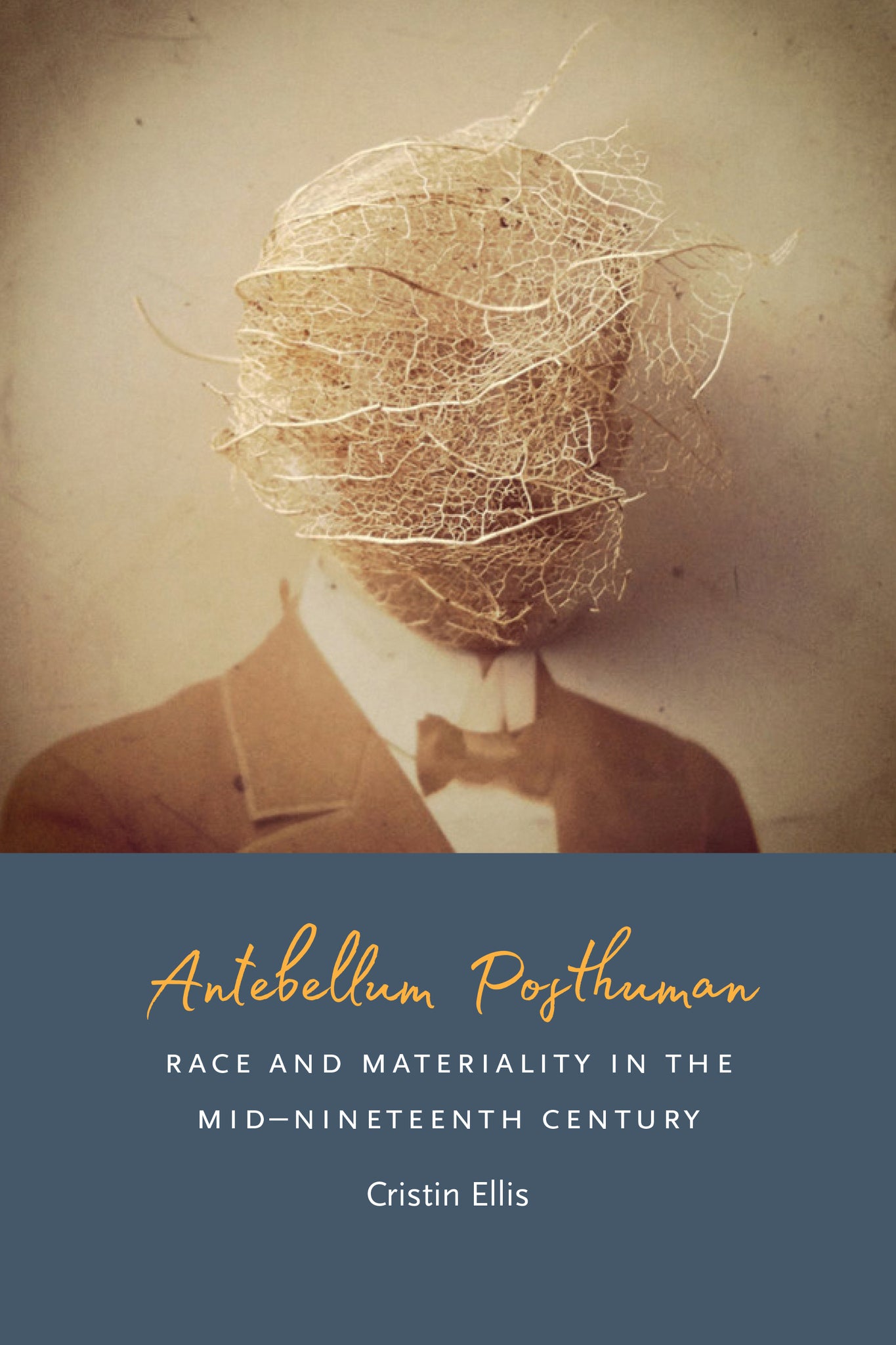 Cover image for Antebellum Posthuman ISBN 9780823278442