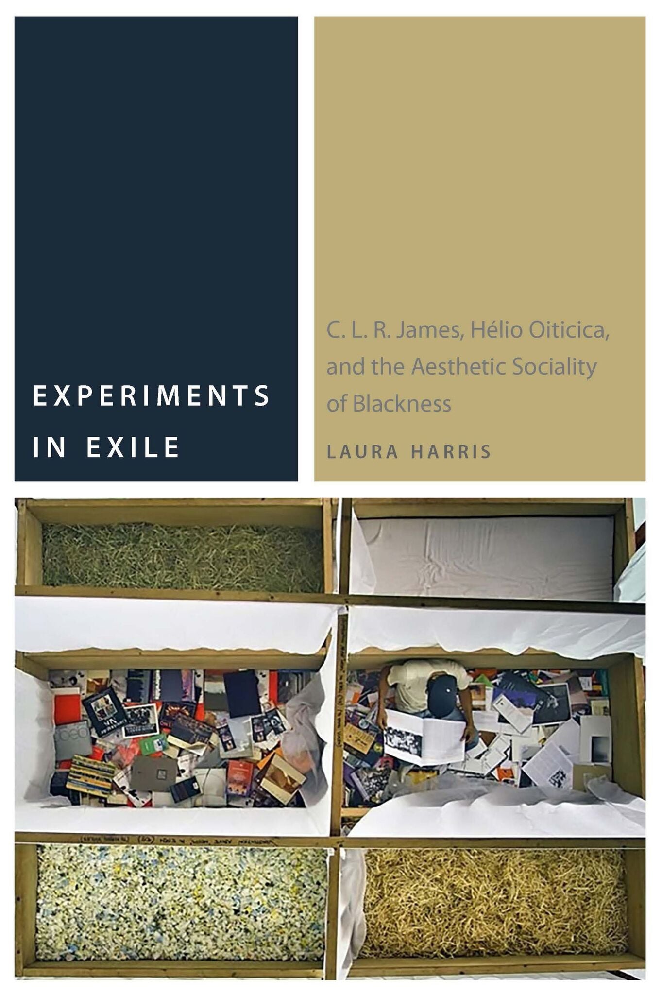 Cover image for Experiments in Exile ISBN 9780823279784