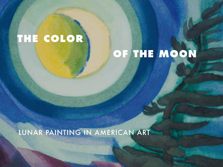 Book cover image for The Color of the Moon ISBN: 9780823280971