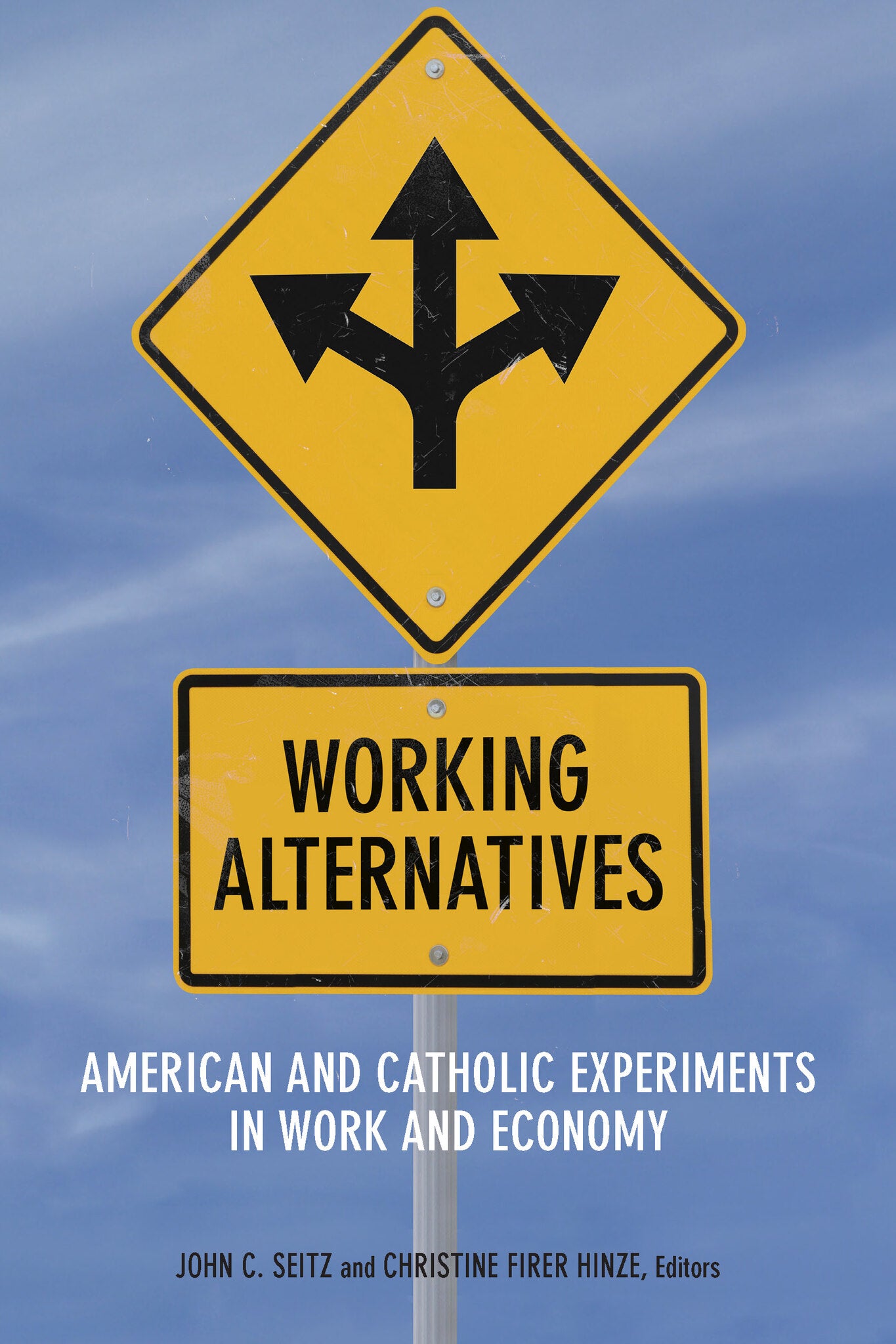 Cover image for Working Alternatives ISBN 9780823288342
