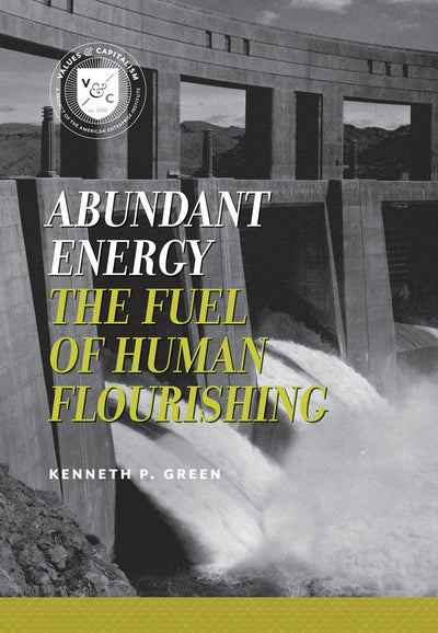 Cover image for Abundant Energy, isbn: 9780844772059