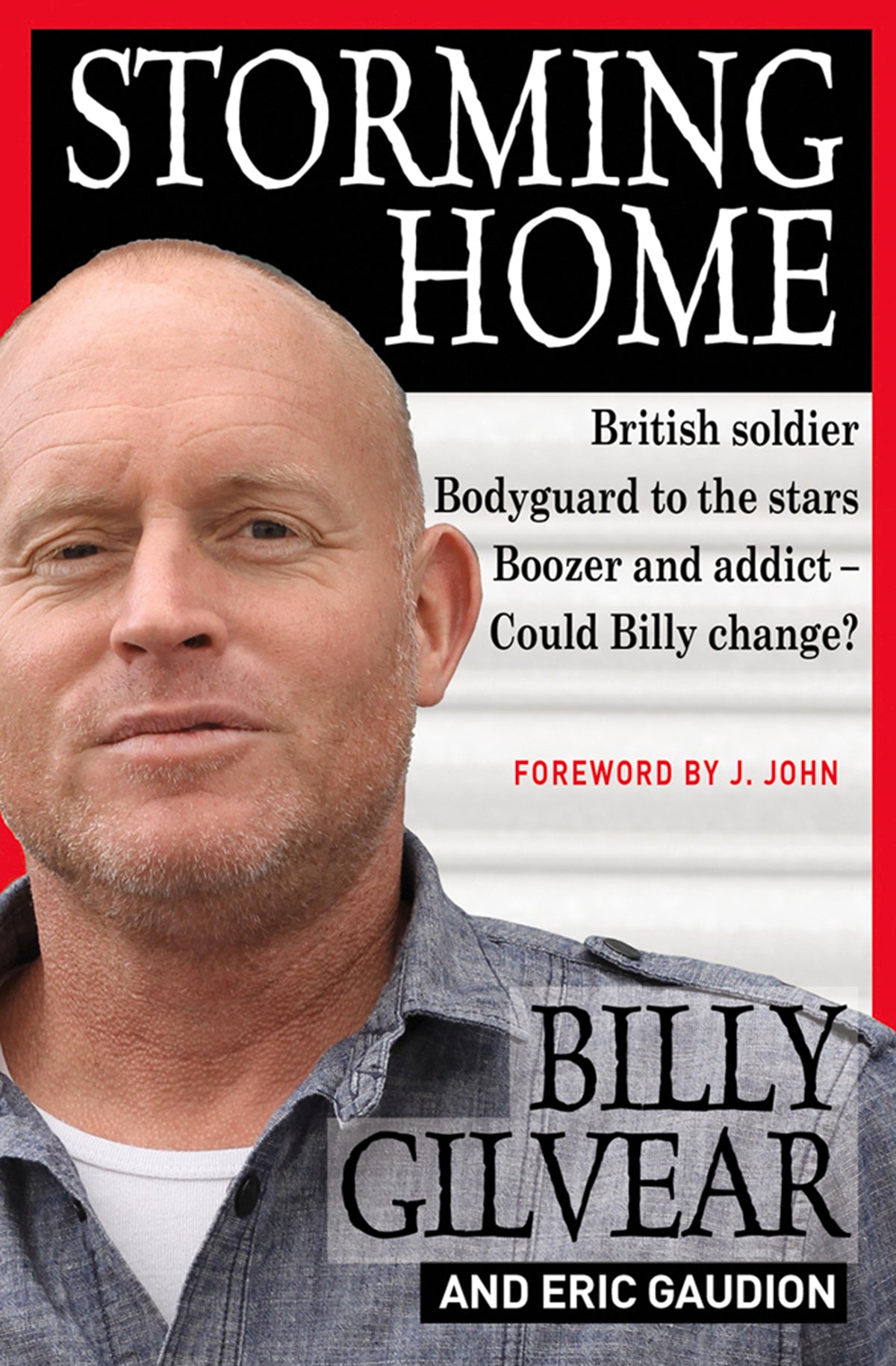Cover image for Storming Home ISBN 9780857214607
