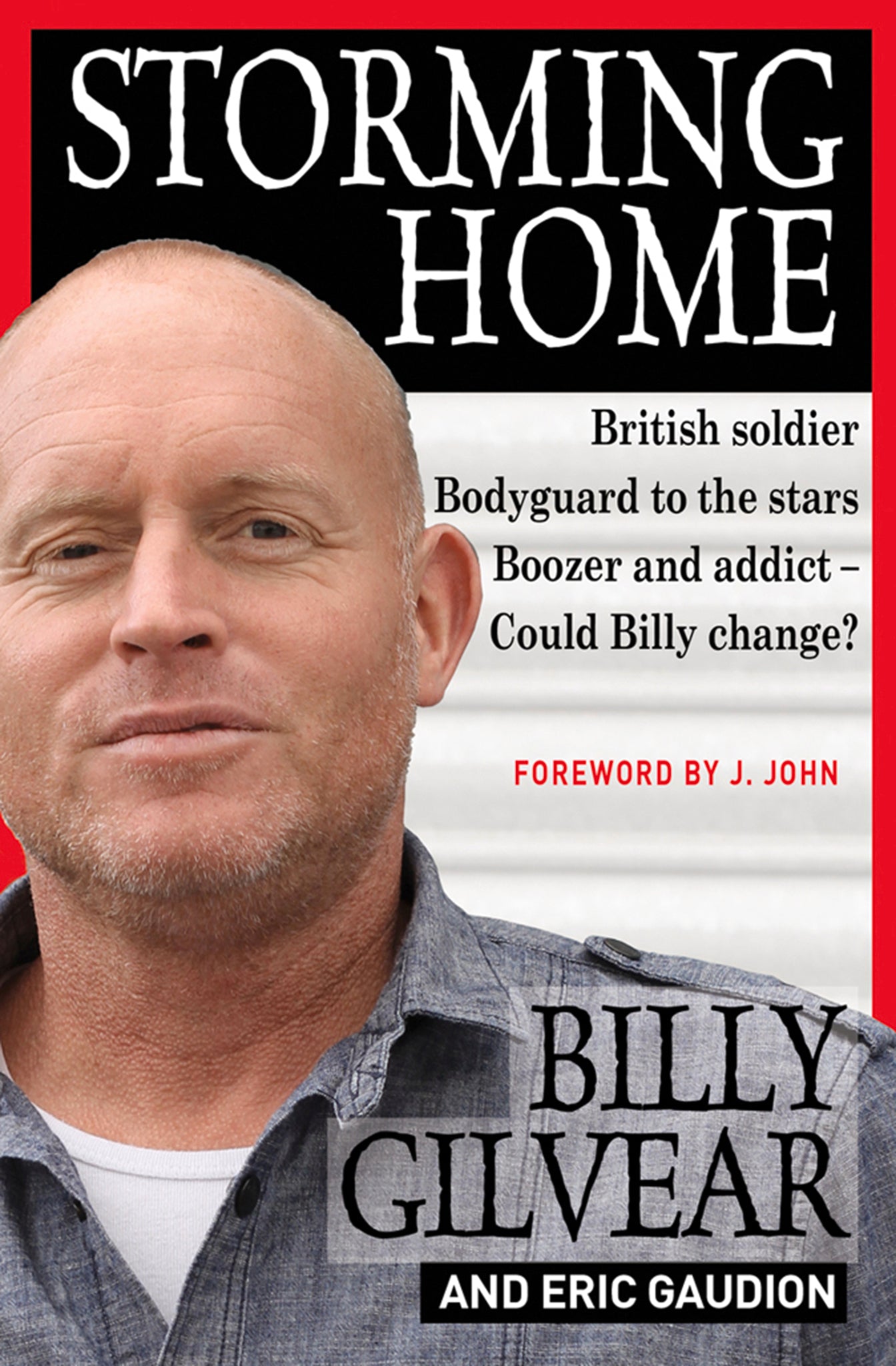 Cover image for Storming Home ISBN 9780857214607