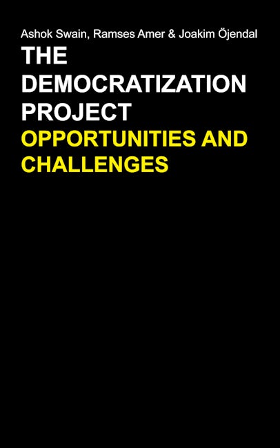 Book cover image for The Democratization Project ISBN: 9780857283993