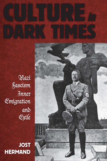 Book cover image for Culture in Dark Times ISBN: 9780857455901