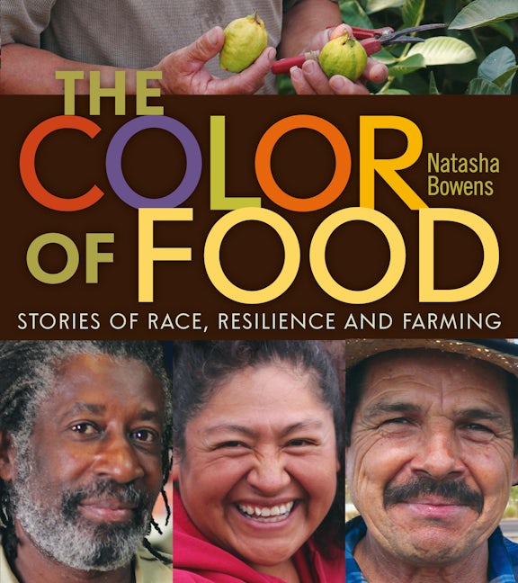 Book cover image for The Color of Food ISBN: 9780865717893
