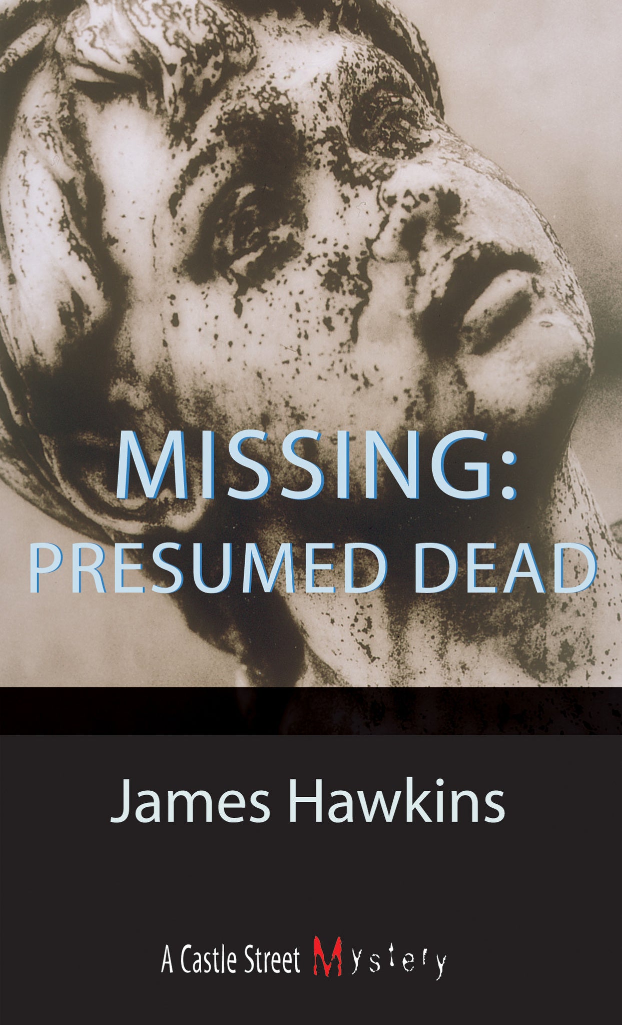 Cover image for Missing: Presumed Dead ISBN 9780888822338