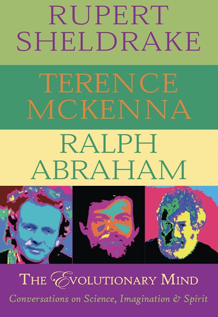 Book cover image for The Evolutionary Mind ISBN: 9780974935973