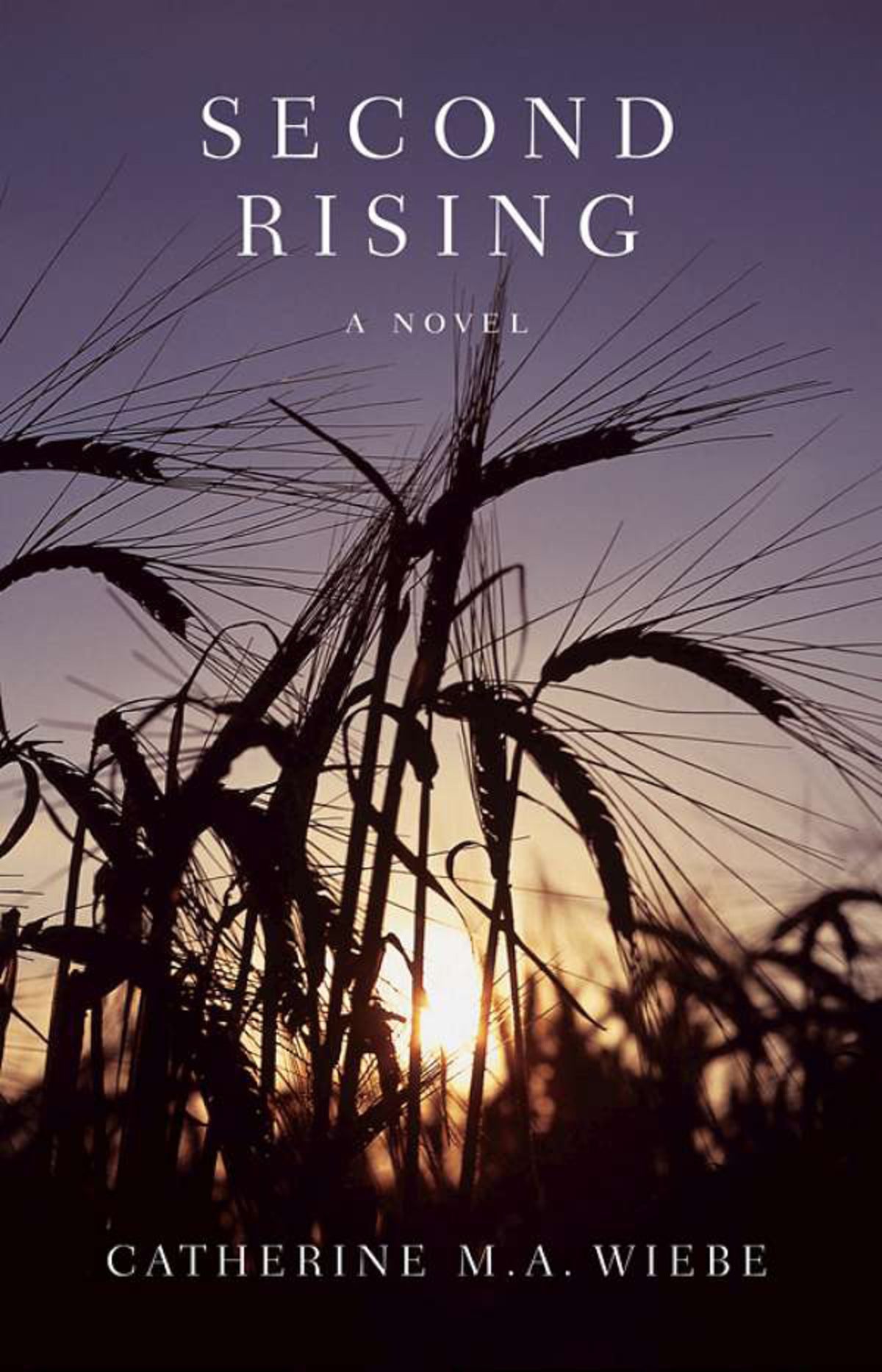 Cover image for Second Rising ISBN 9780978498245