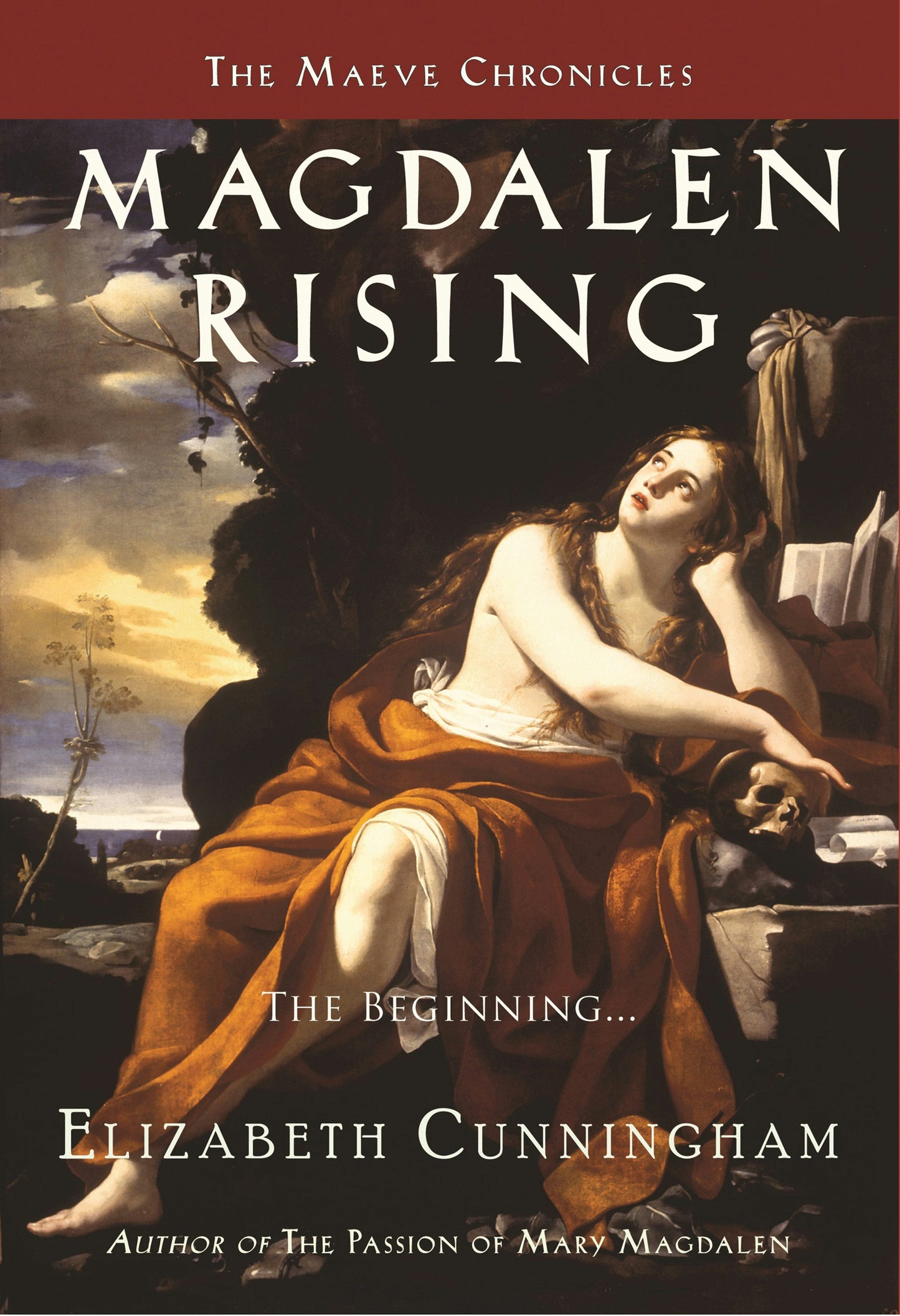 Book cover image for Magdalen Rising ISBN: 9780983358978