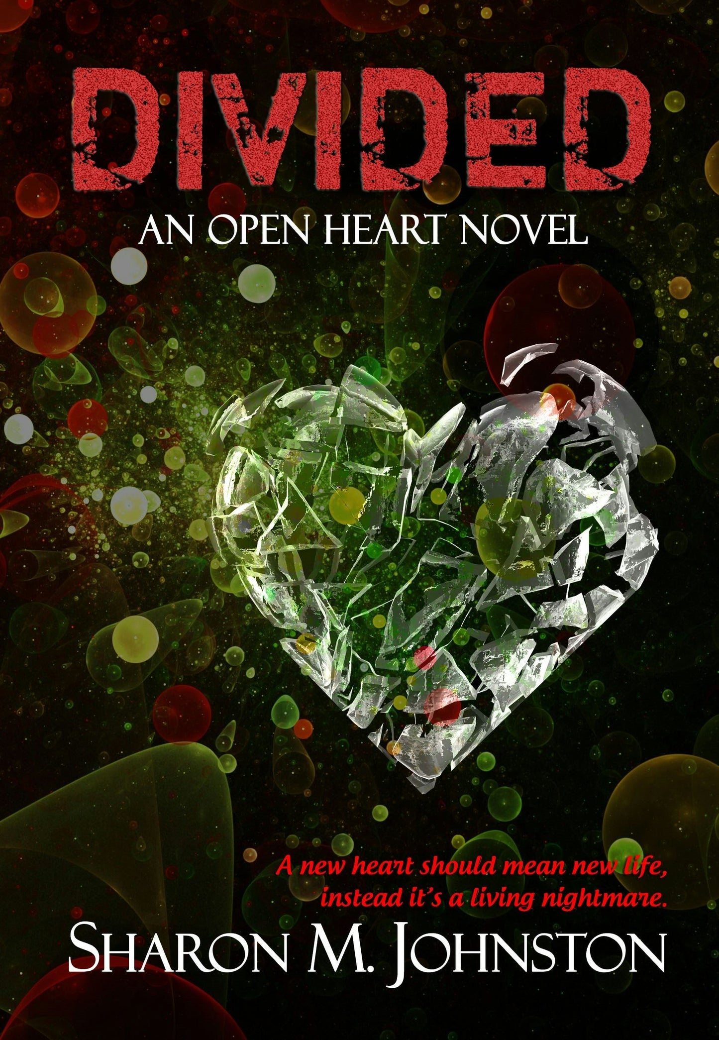 Book cover image for Divided ISBN: 9780986251634