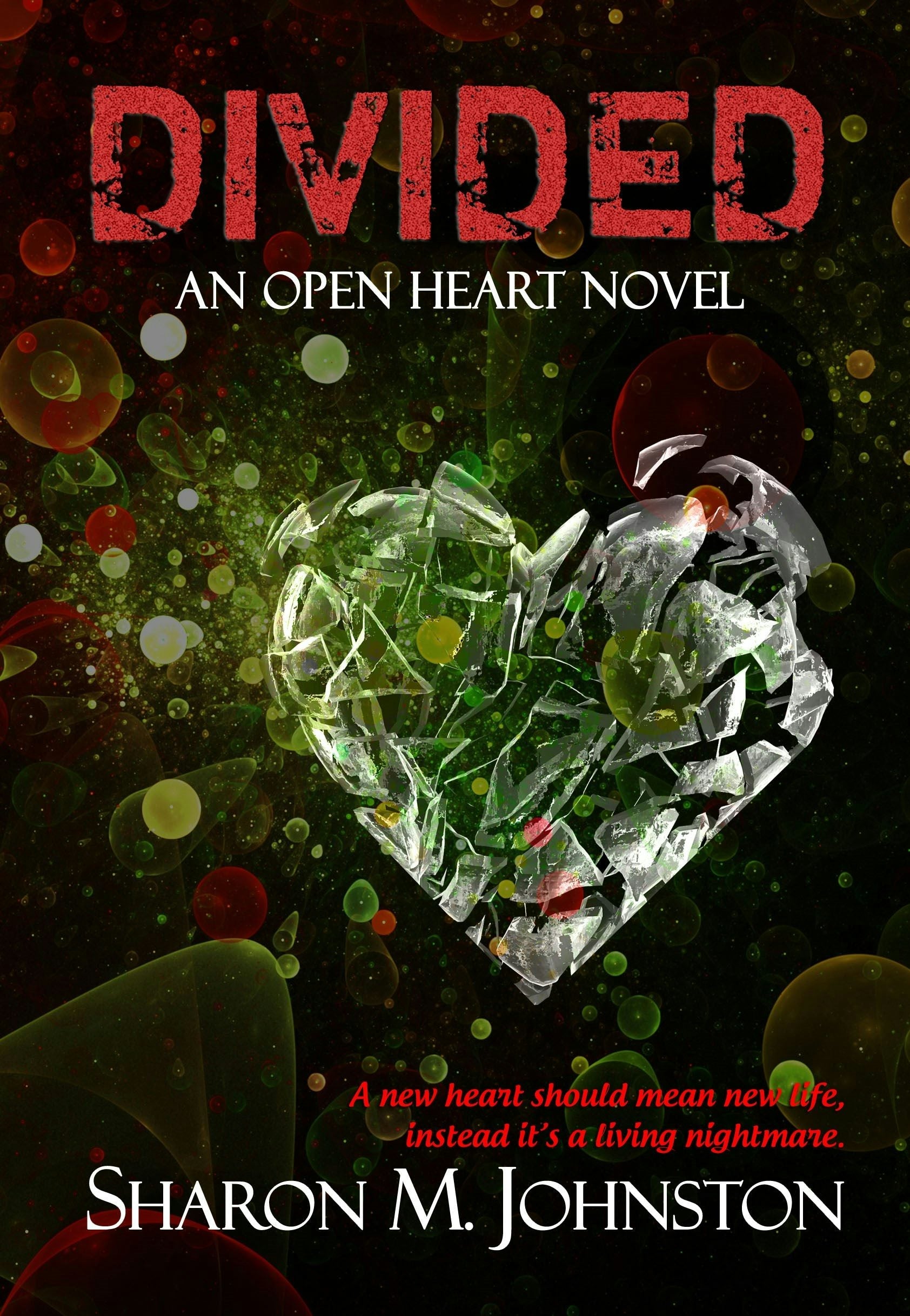 Book cover image for Divided ISBN: 9780986251634