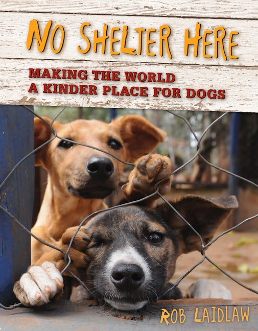 Book cover image for No Shelter Here ISBN: 9780986949524