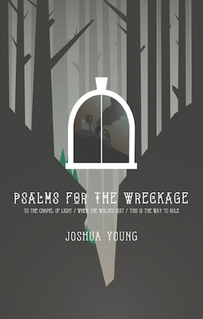 Book cover image for Psalms for the Wreckage ISBN: 9780991418374