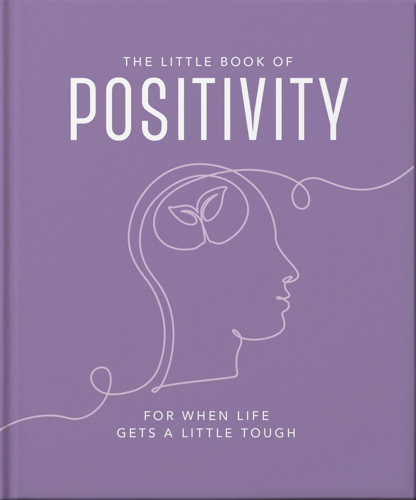 Book cover image for The Little Book of Positivity ISBN: 9781035422265