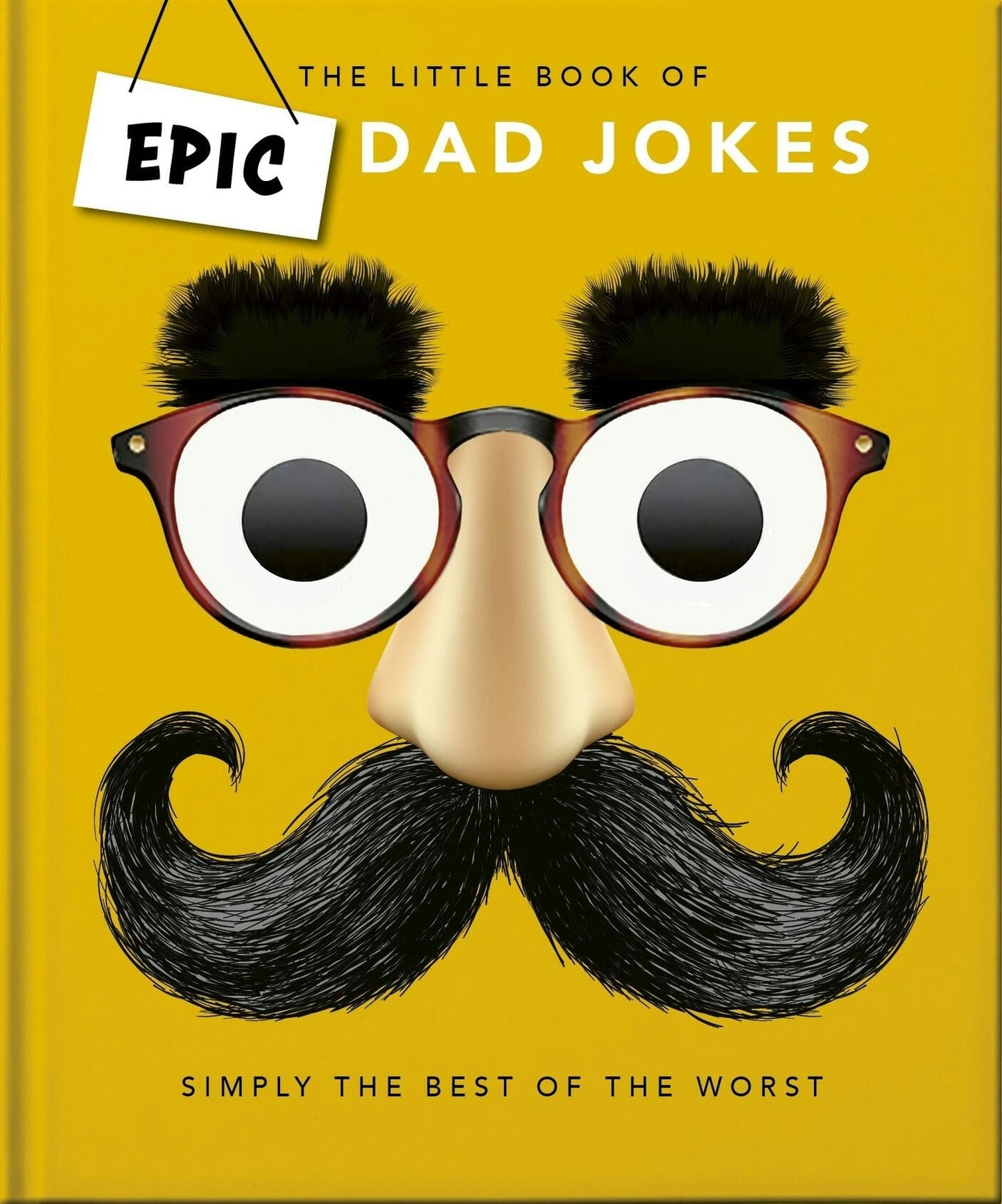 Book cover image for The Little book of Epic Dad Jokes ISBN: 9781035422586