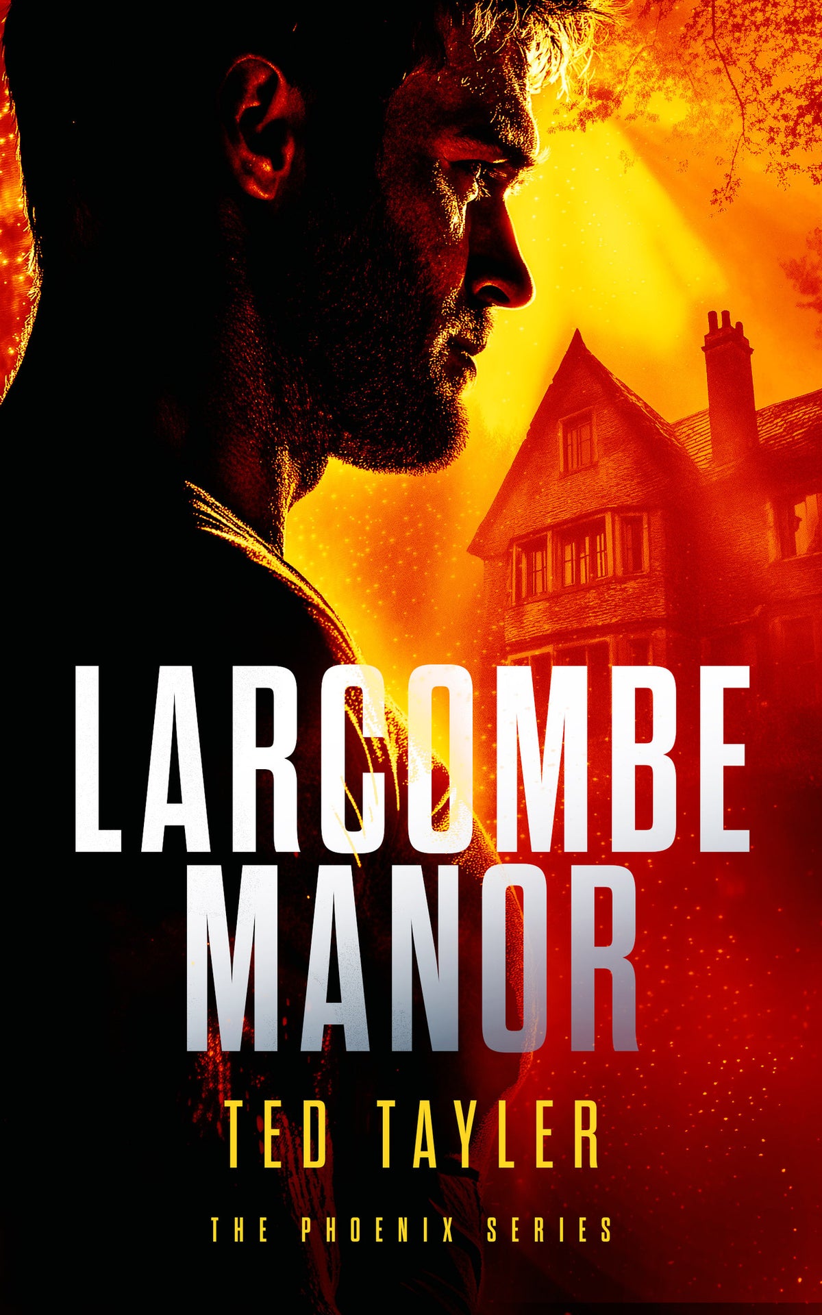 Cover image for Larcombe Manor ISBN 9781036700607