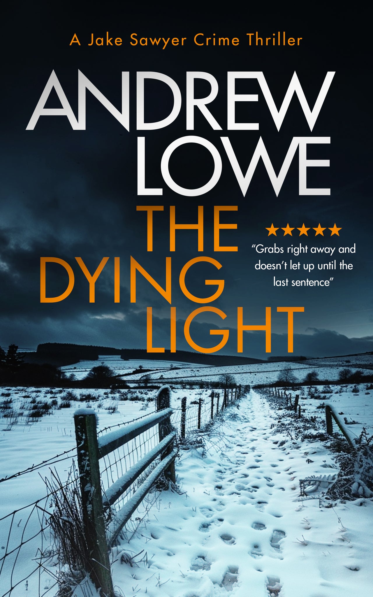 Cover image for The Dying Light ISBN 9781036703547