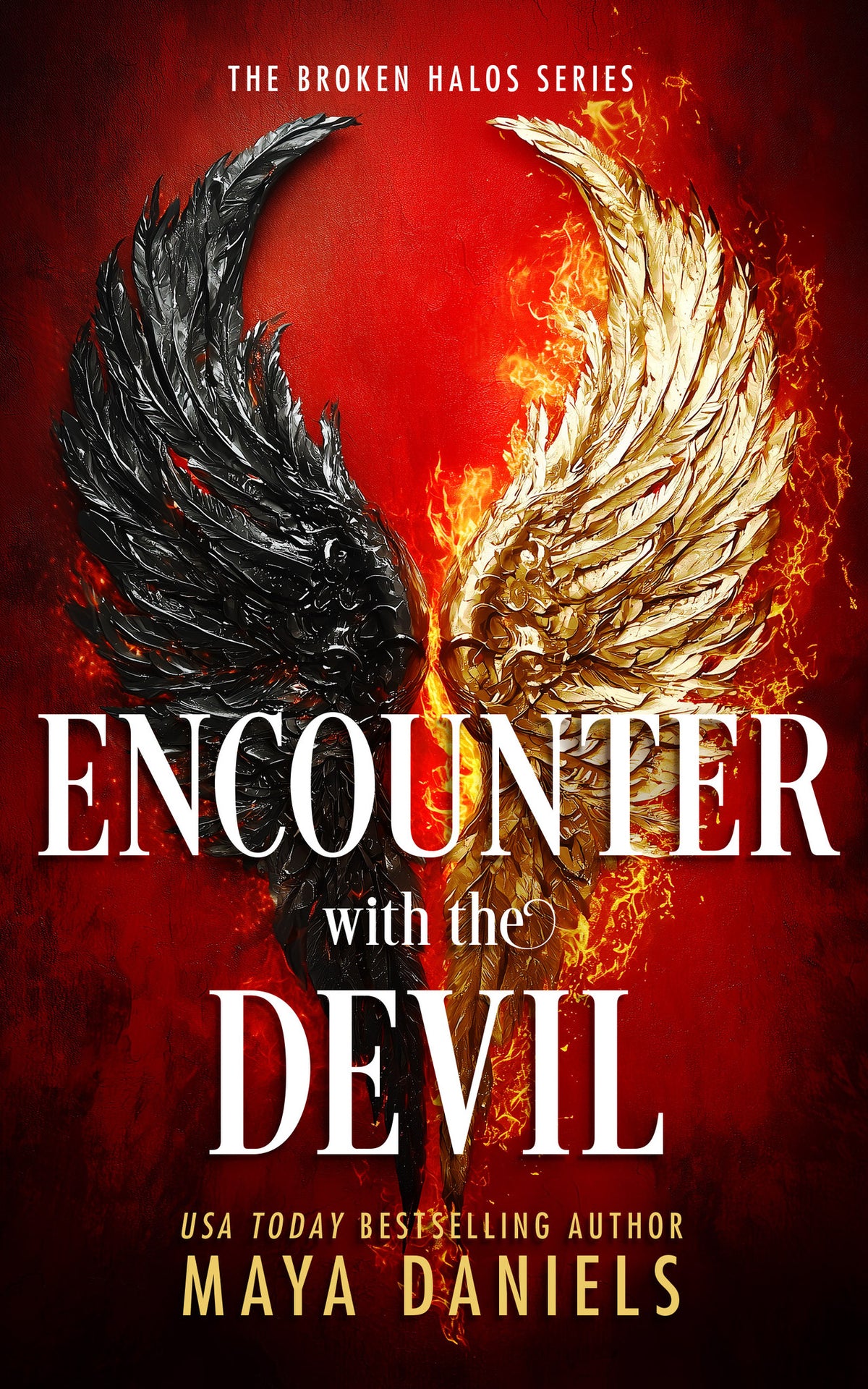 Cover image for Encounter with the Devil ISBN 9781036706678