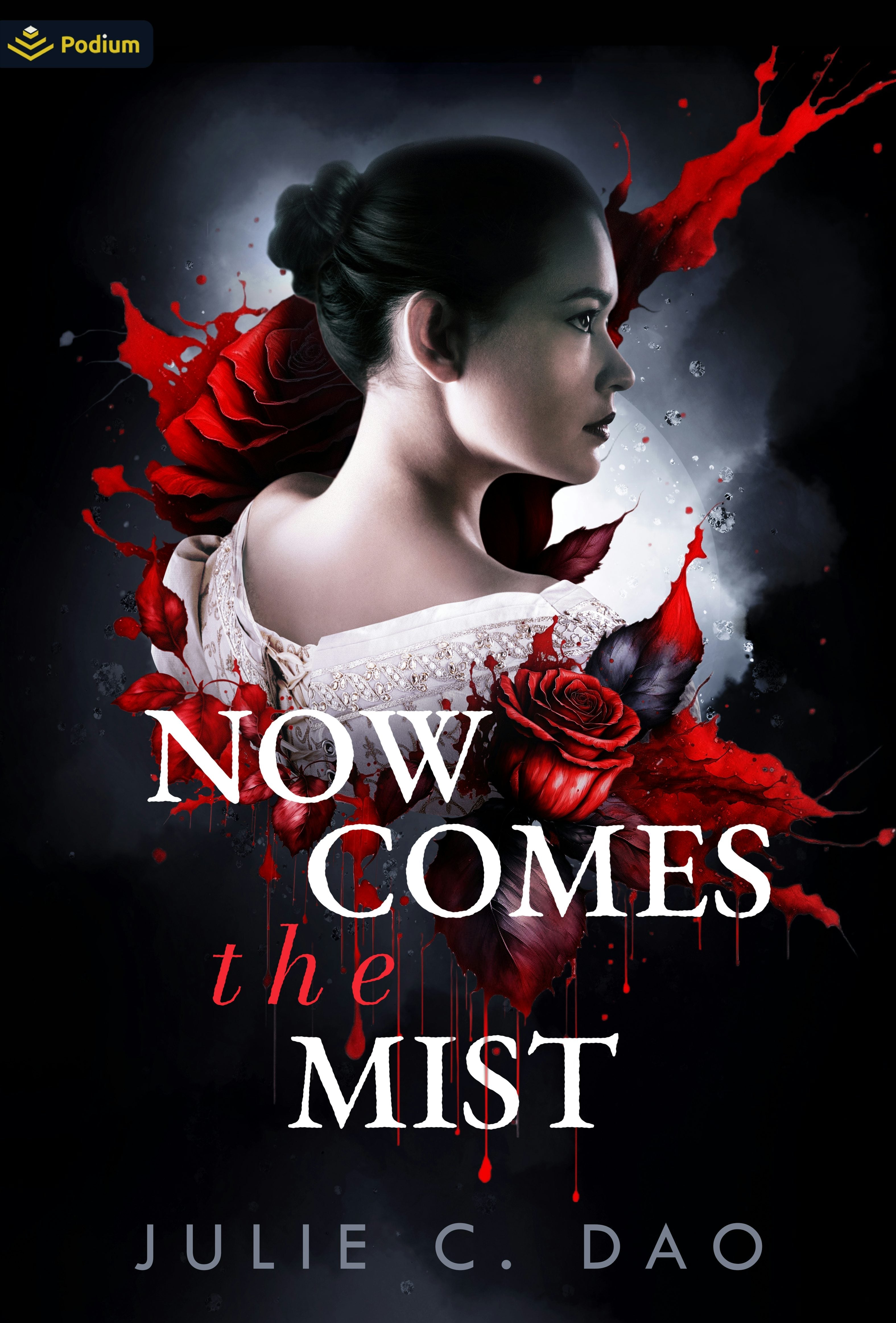 Book cover image for Now Comes the Mist ISBN: 9781039457478