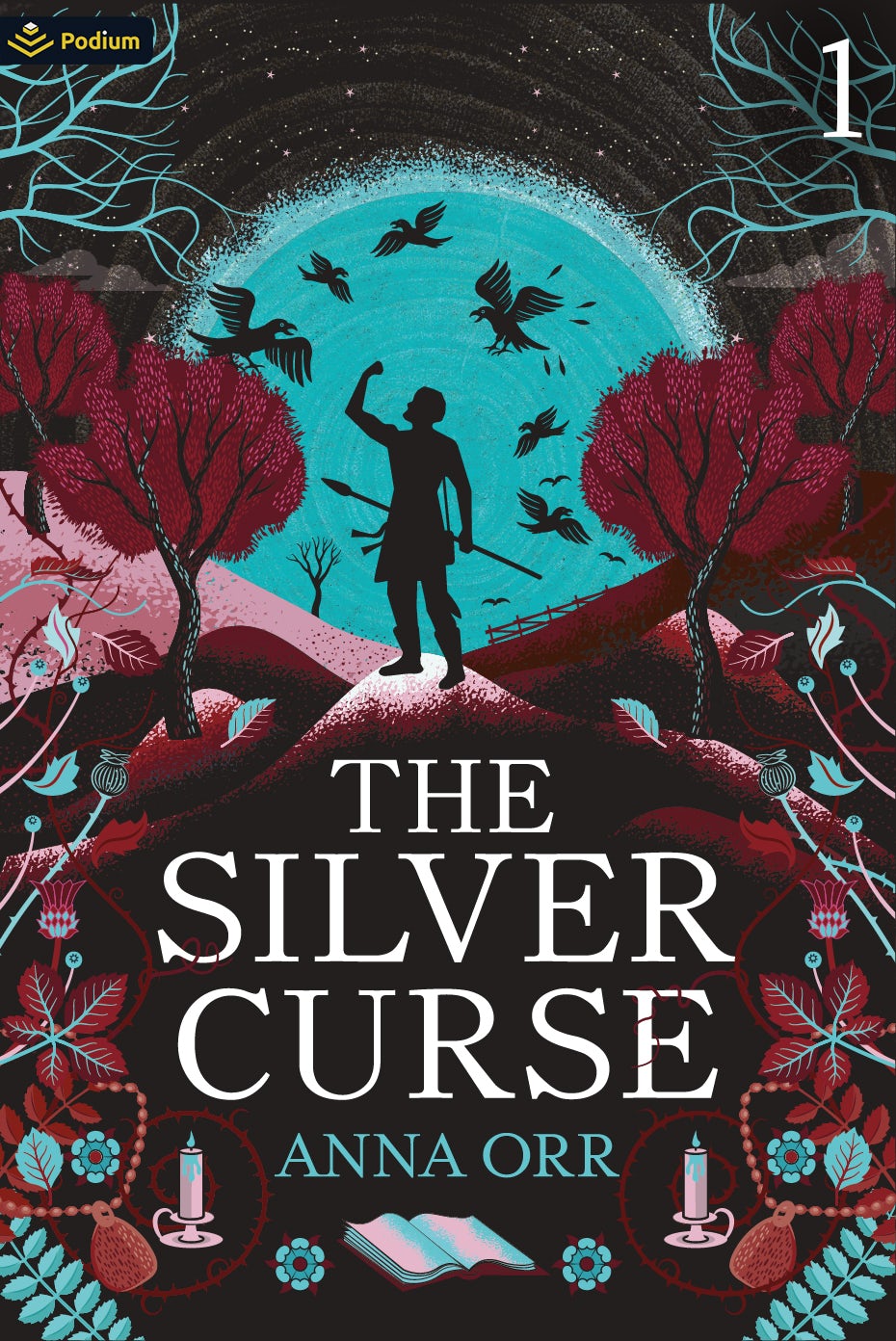 Book cover image for The Silver Curse ISBN: 9781039457683