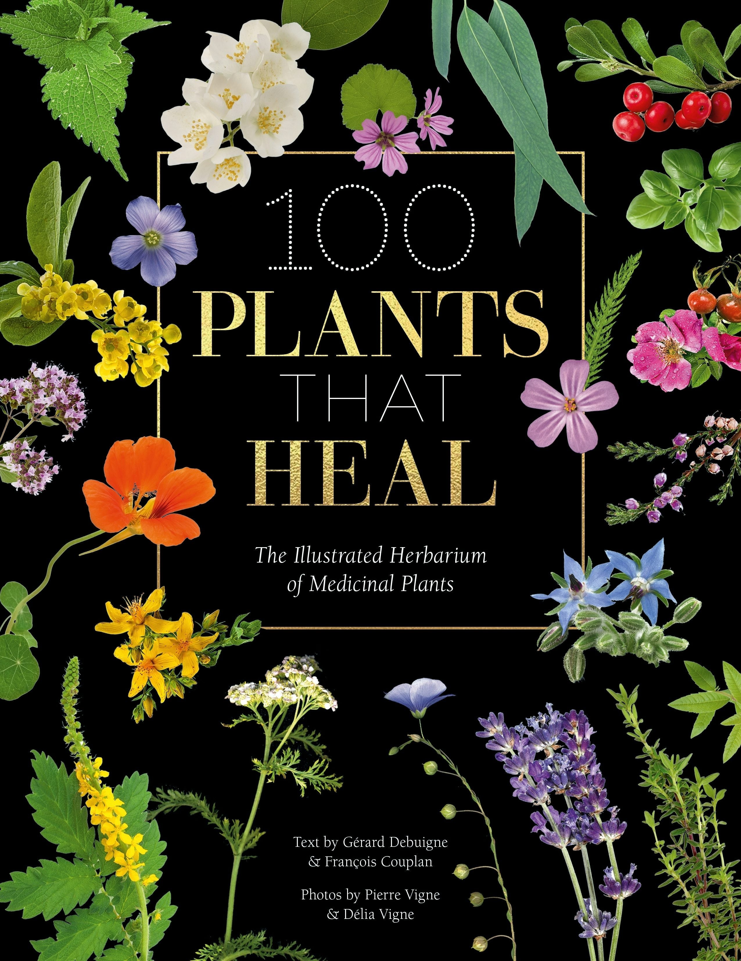 Book cover image for 100 Plants That Heal ISBN: 9781446308776