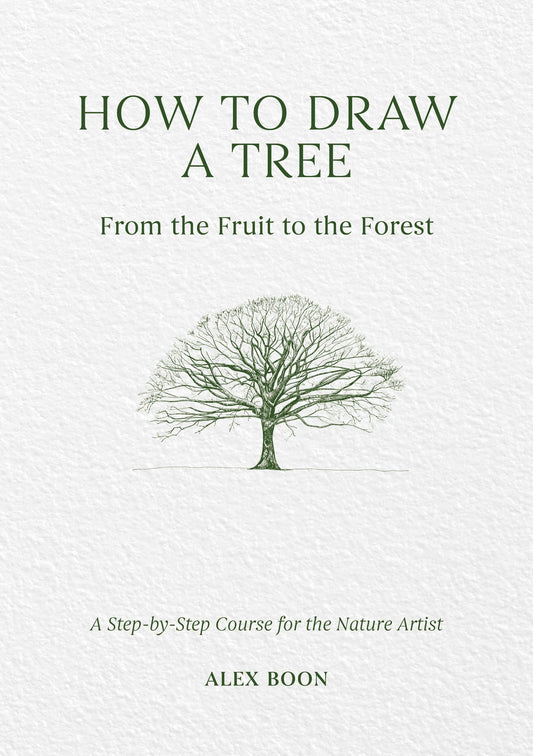 How to Draw a Tree: From the Fruit to the Forest