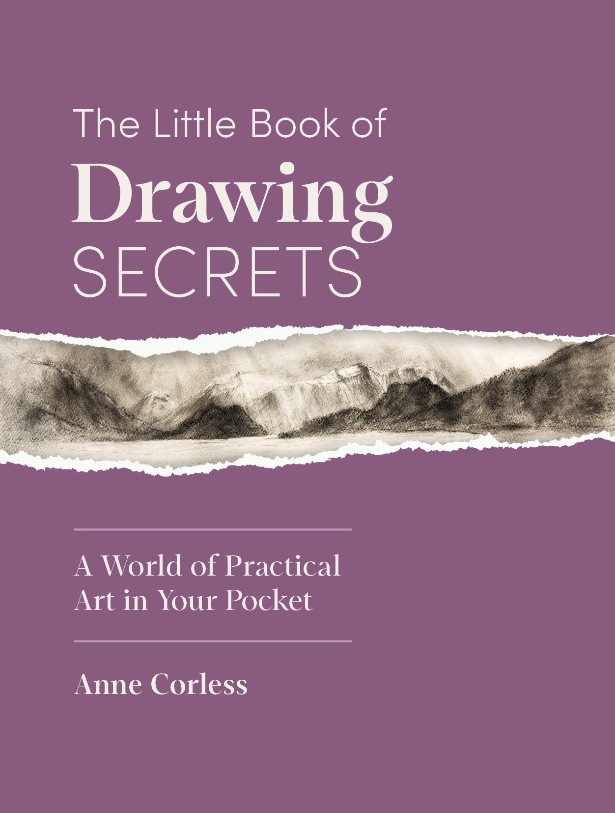 Book cover image for The Little Book of Drawing Secrets ISBN: 9781446316955