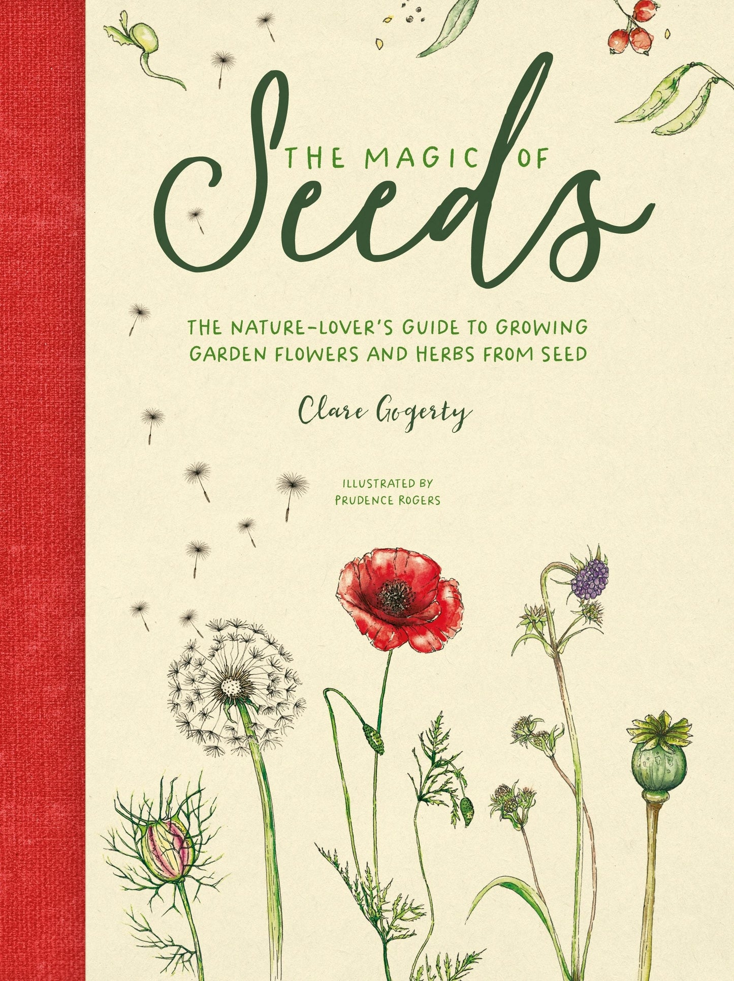 Book cover image for The Magic of Seeds ISBN: 9781446382127