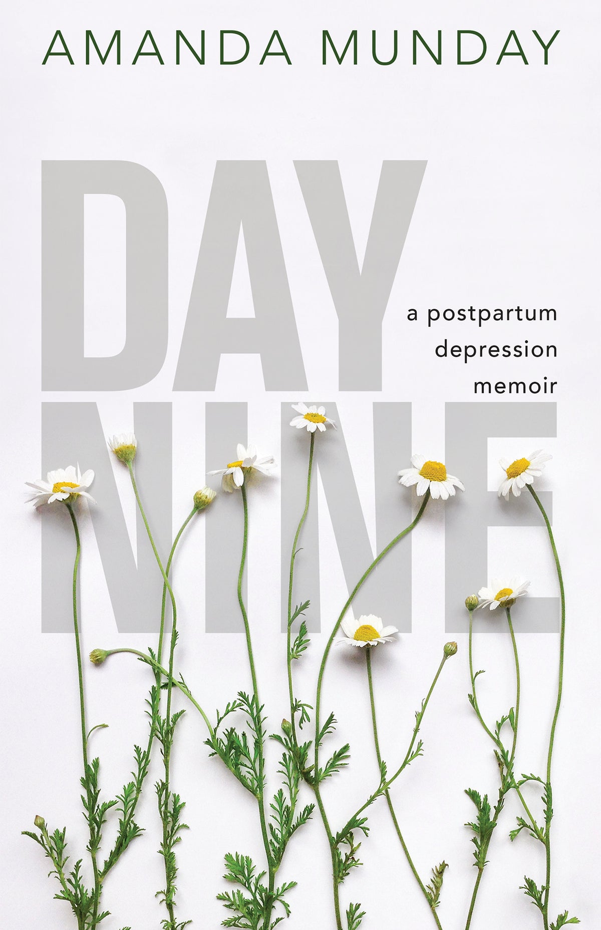 Cover image for Day Nine ISBN 9781459744455
