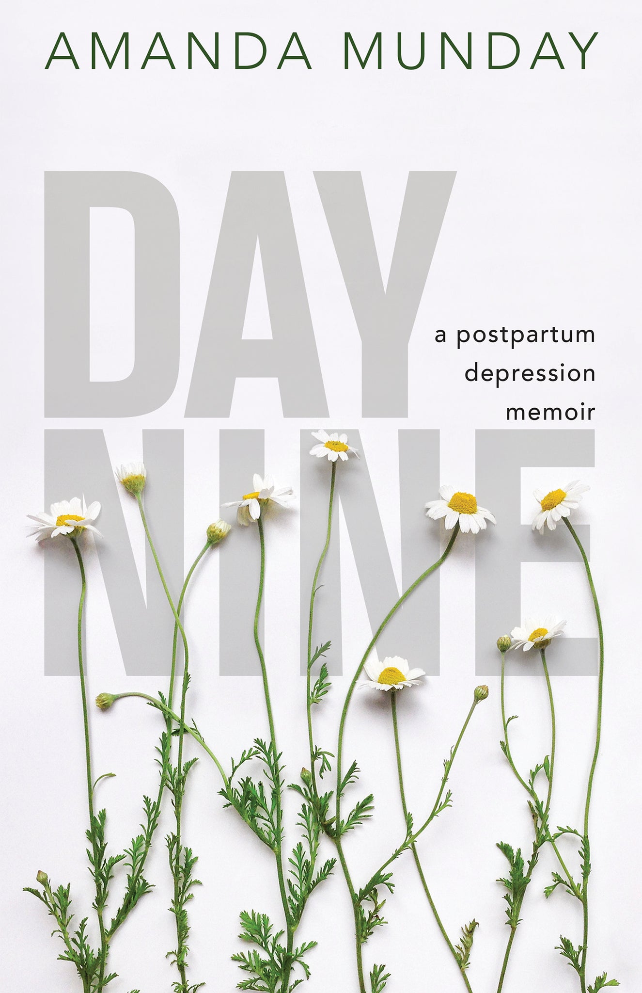 Cover image for Day Nine ISBN 9781459744455