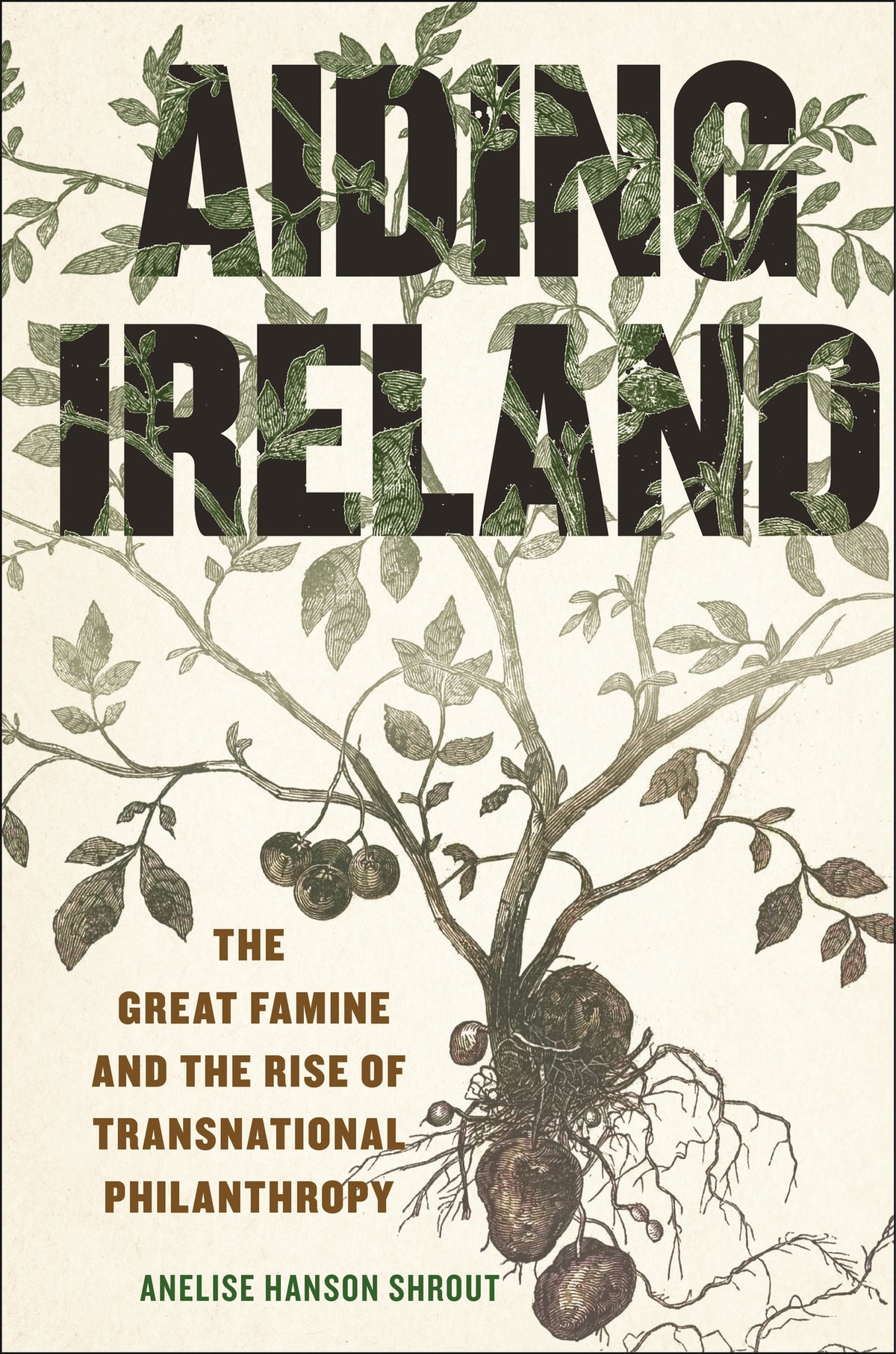 Cover image for Aiding Ireland ISBN 9781479824601