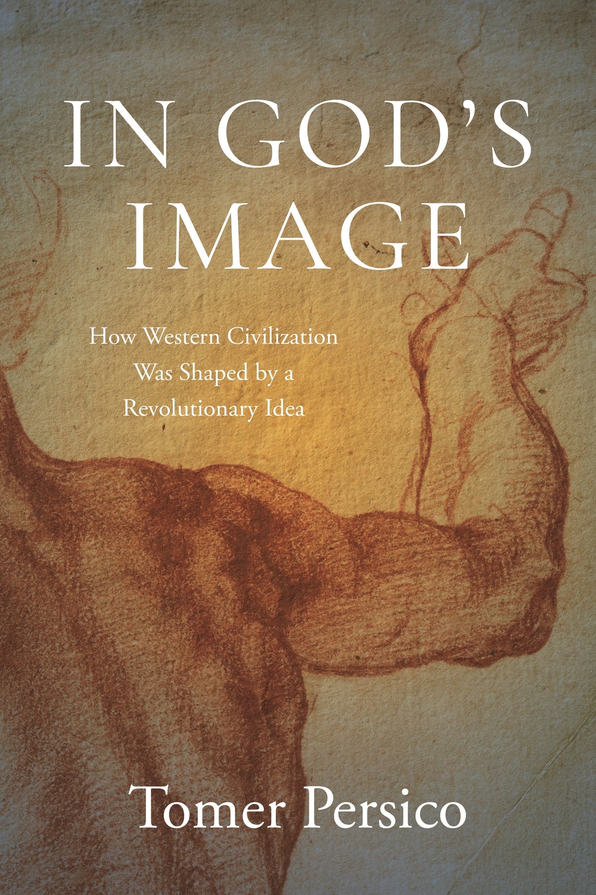Cover image for In God's Image ISBN 9781479835720