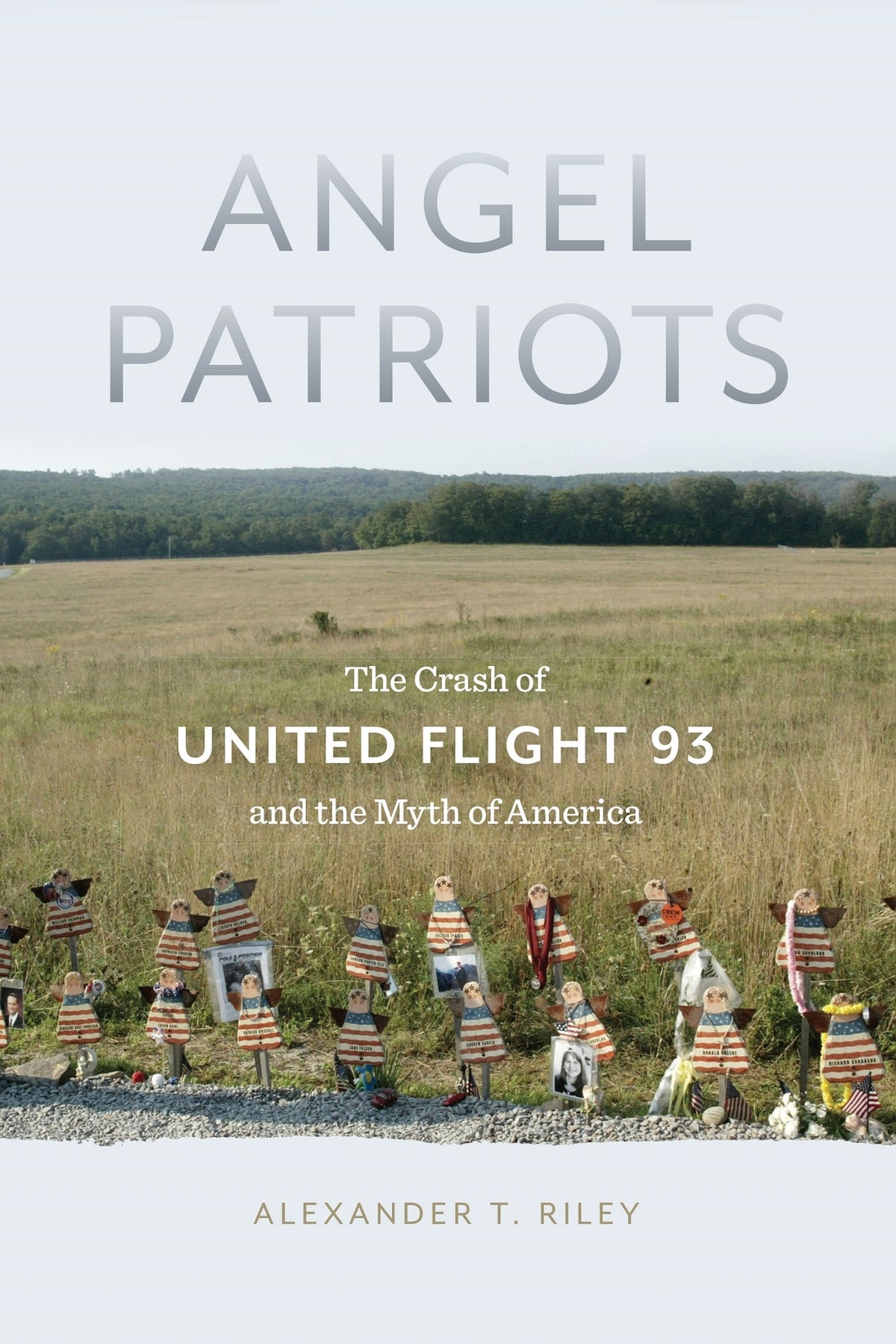 Cover image for Angel Patriots ISBN 9781479870479