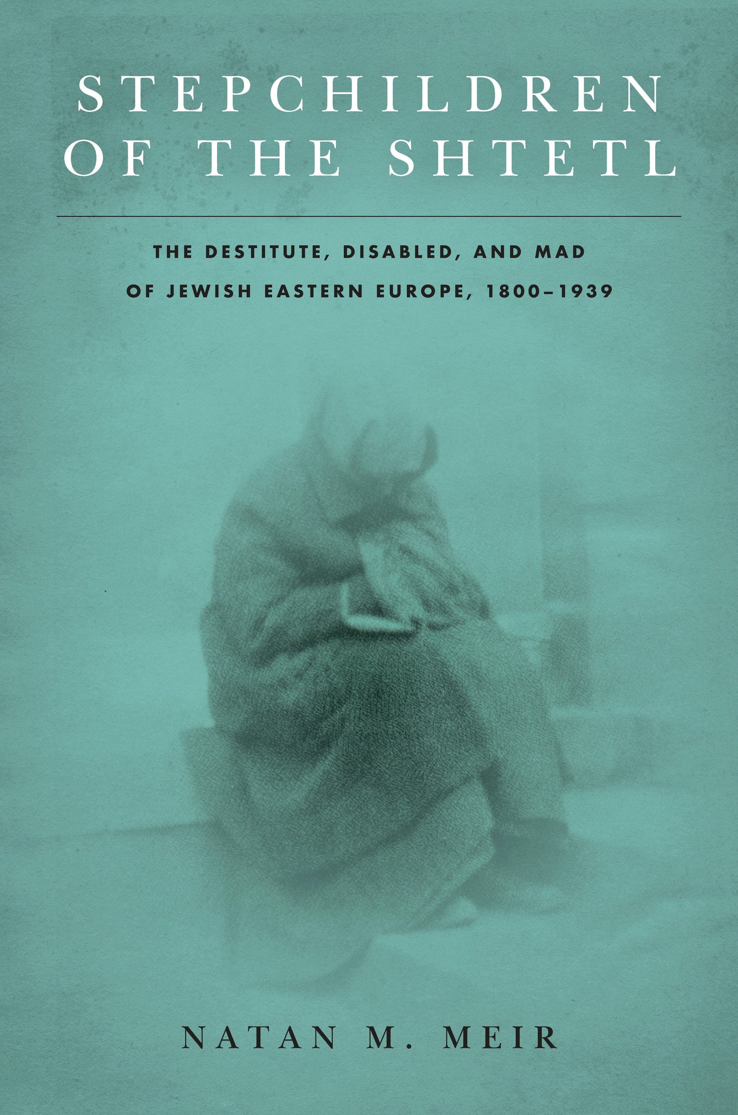 Book cover image for Stepchildren of the Shtetl ISBN: 9781503611832