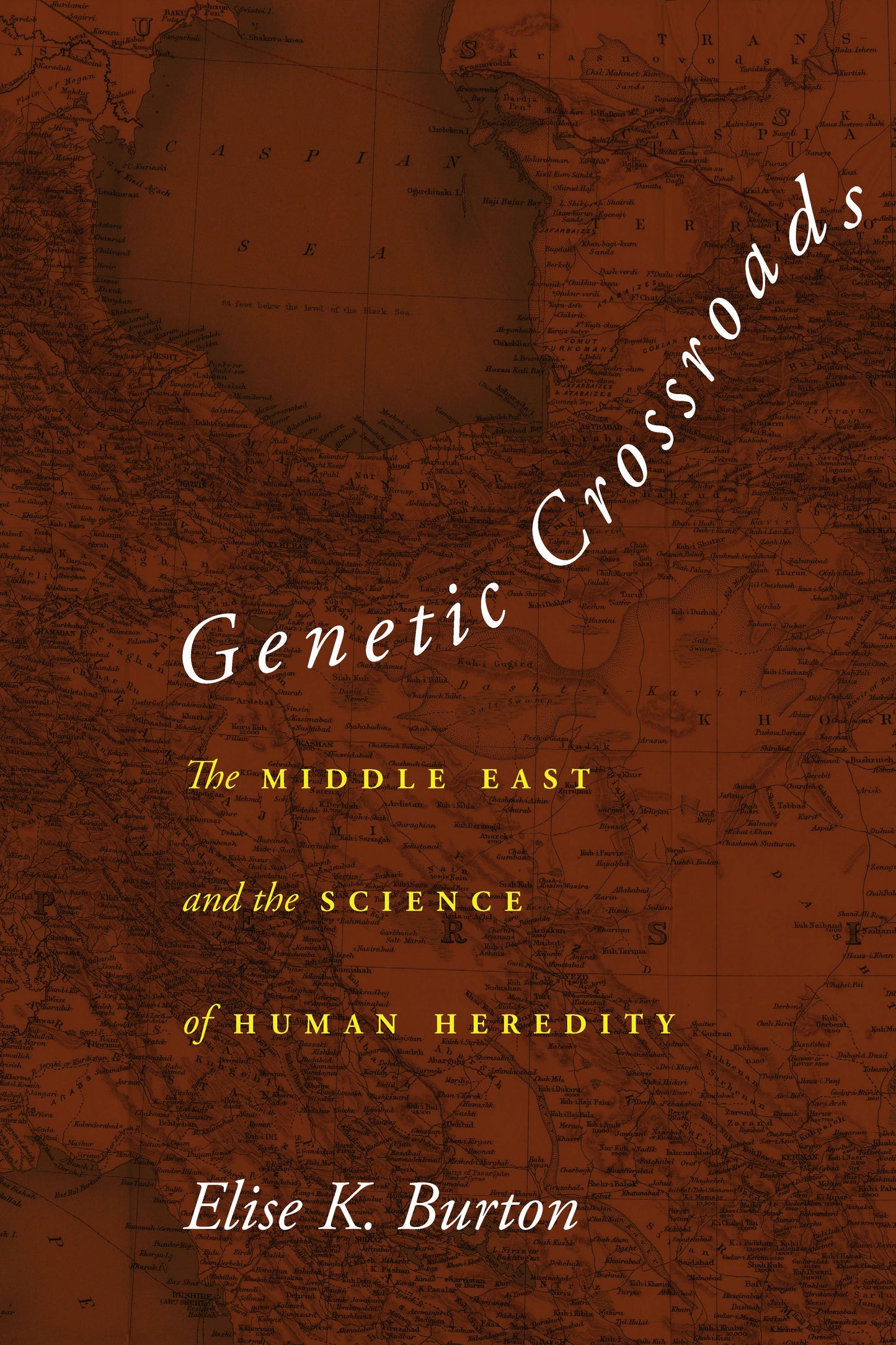 Book cover image for Genetic Crossroads ISBN: 9781503611917