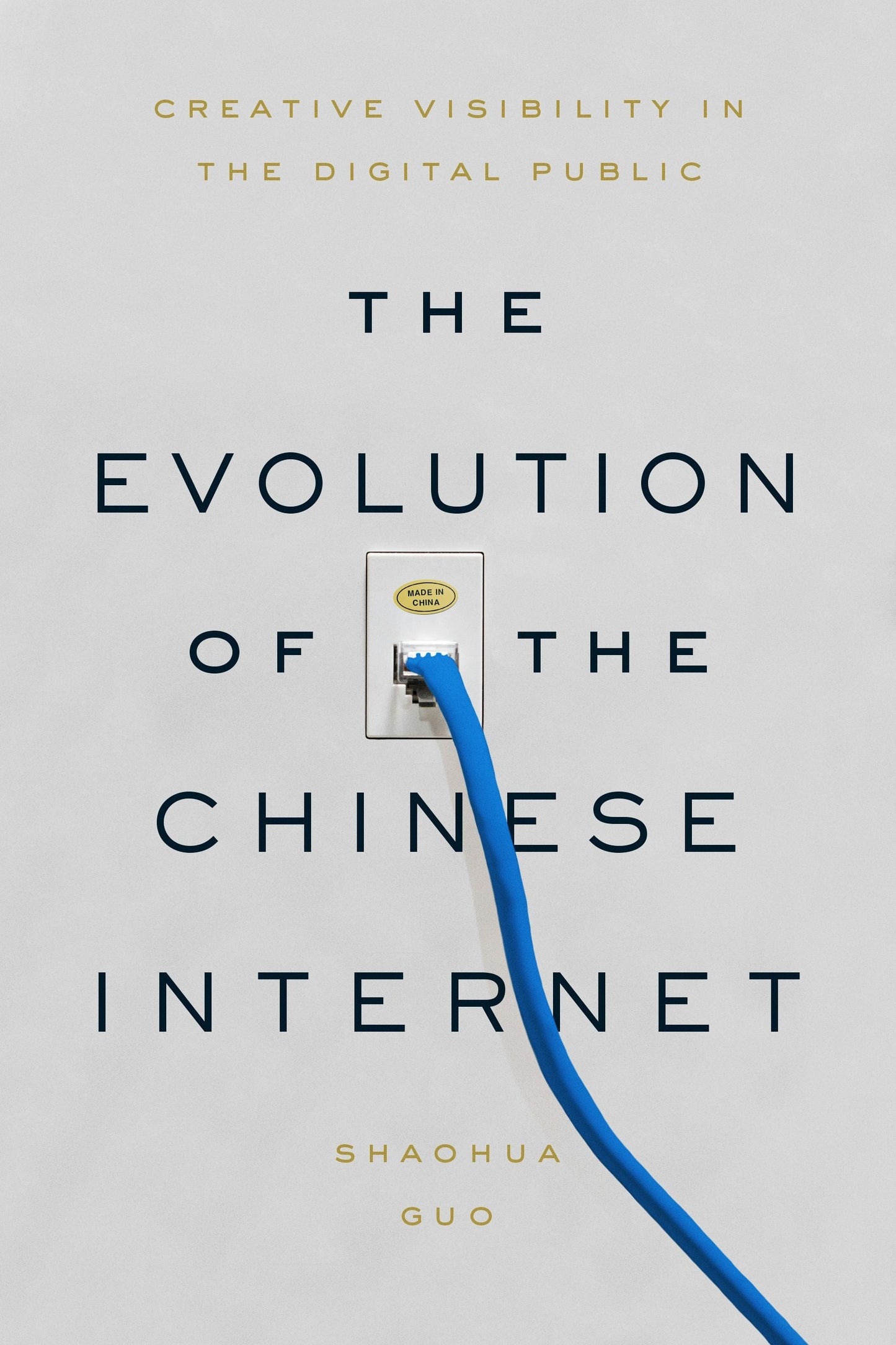 Book cover image for The Evolution of the Chinese Internet ISBN: 9781503614437