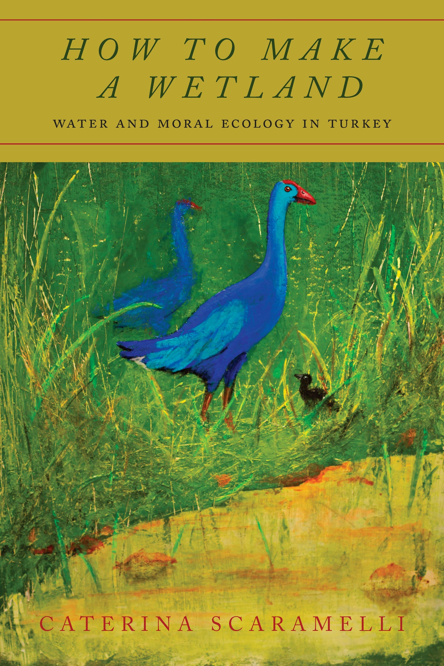 Book cover image for How to Make a Wetland ISBN: 9781503615403