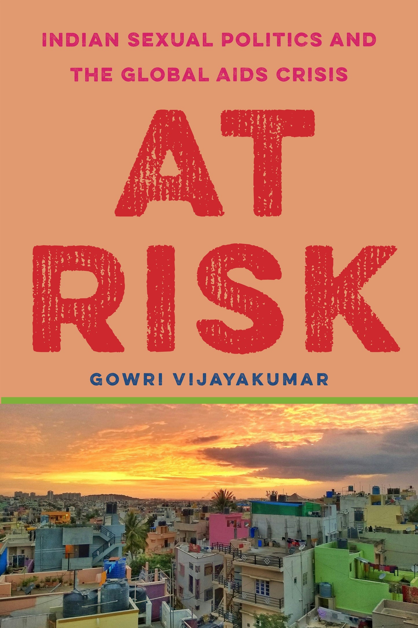 Book cover image for At Risk ISBN: 9781503627529